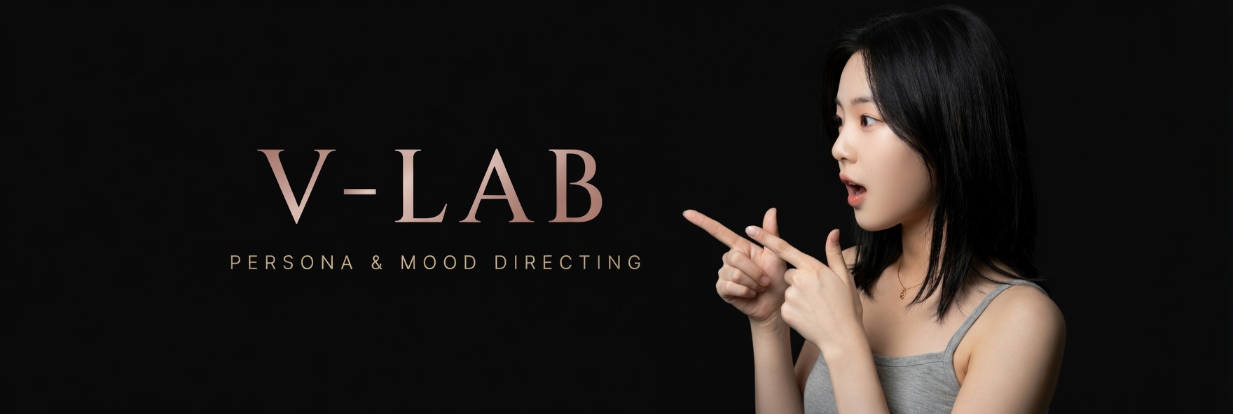 V-LAB Official Model